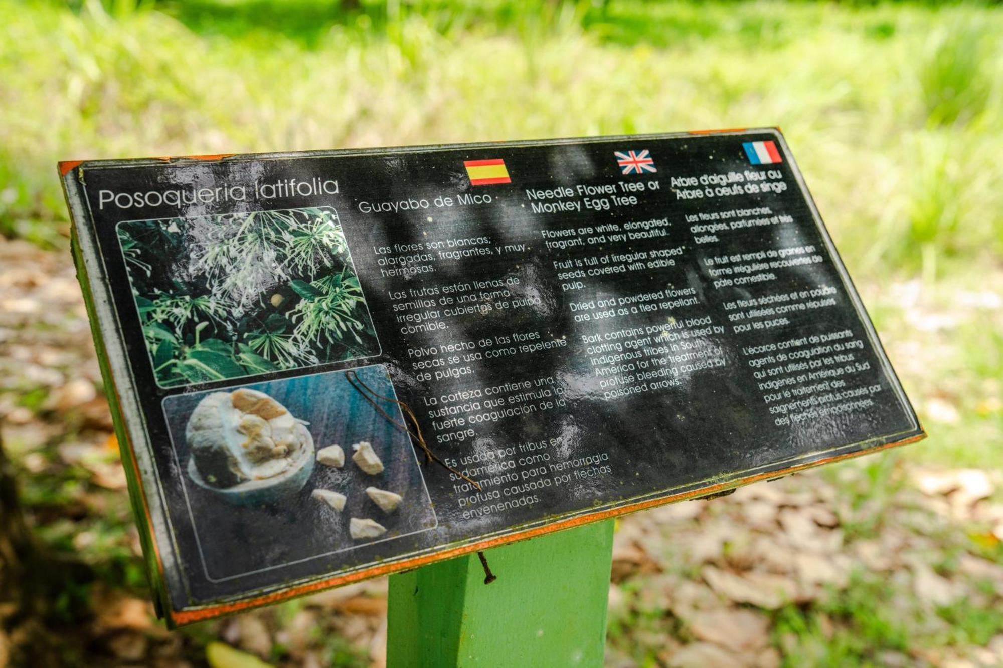 Hacienda Baru Villa Dominical Ngoại thất bức ảnh